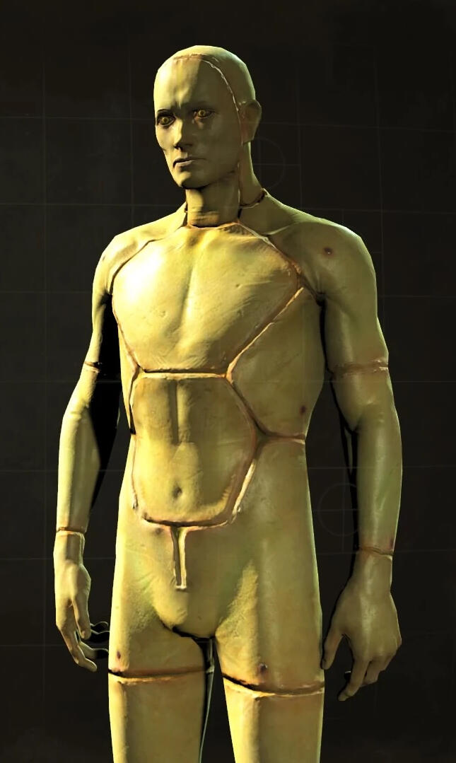 Body Reference